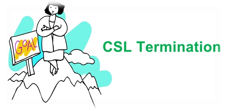 香港CSL官网www.csl.hk